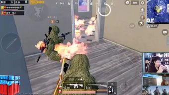 杀鸡最新爆料视频,揭秘幕后真相,视频内容大揭秘! 第2张 杀鸡最新爆料视频,揭秘幕后真相,视频内容大揭秘! 第2张